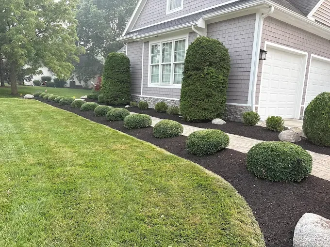 Terramorph Boxwood and mulch foundation beds