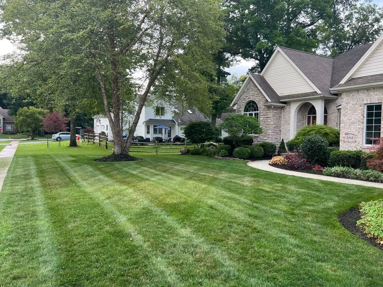 Terramorph Curved beds and striped lawn