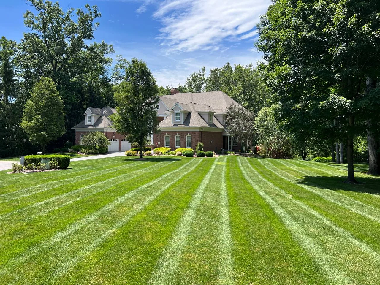 Terramorph Estate lawn with fresh mowing stripes