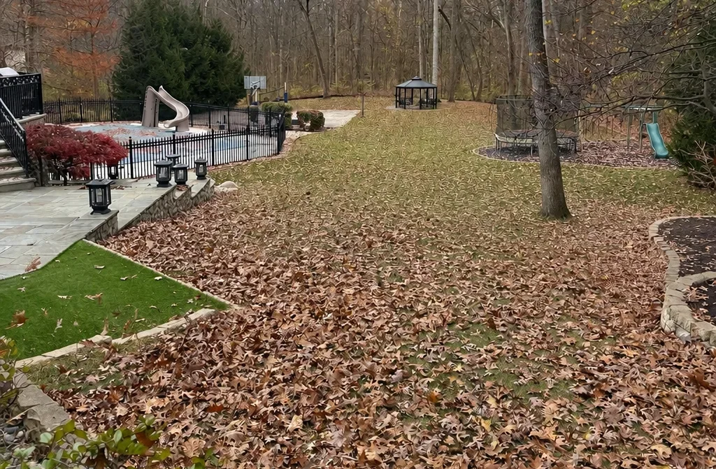 Backyard covered in fall leaves before the cleanup