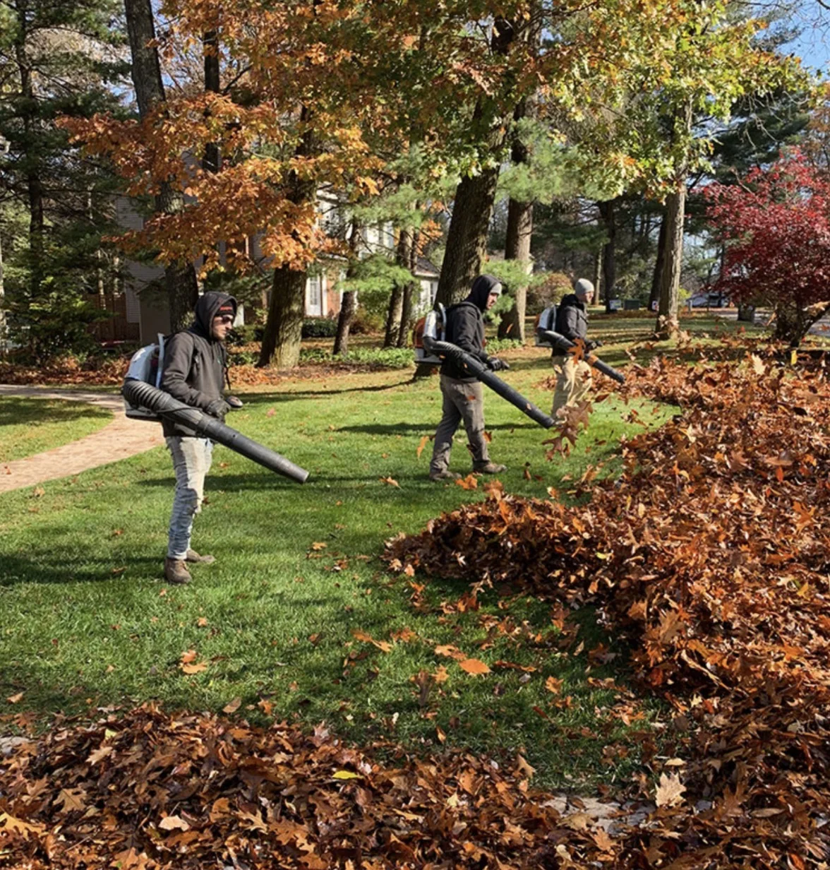 Seasonal Cleanups project photo