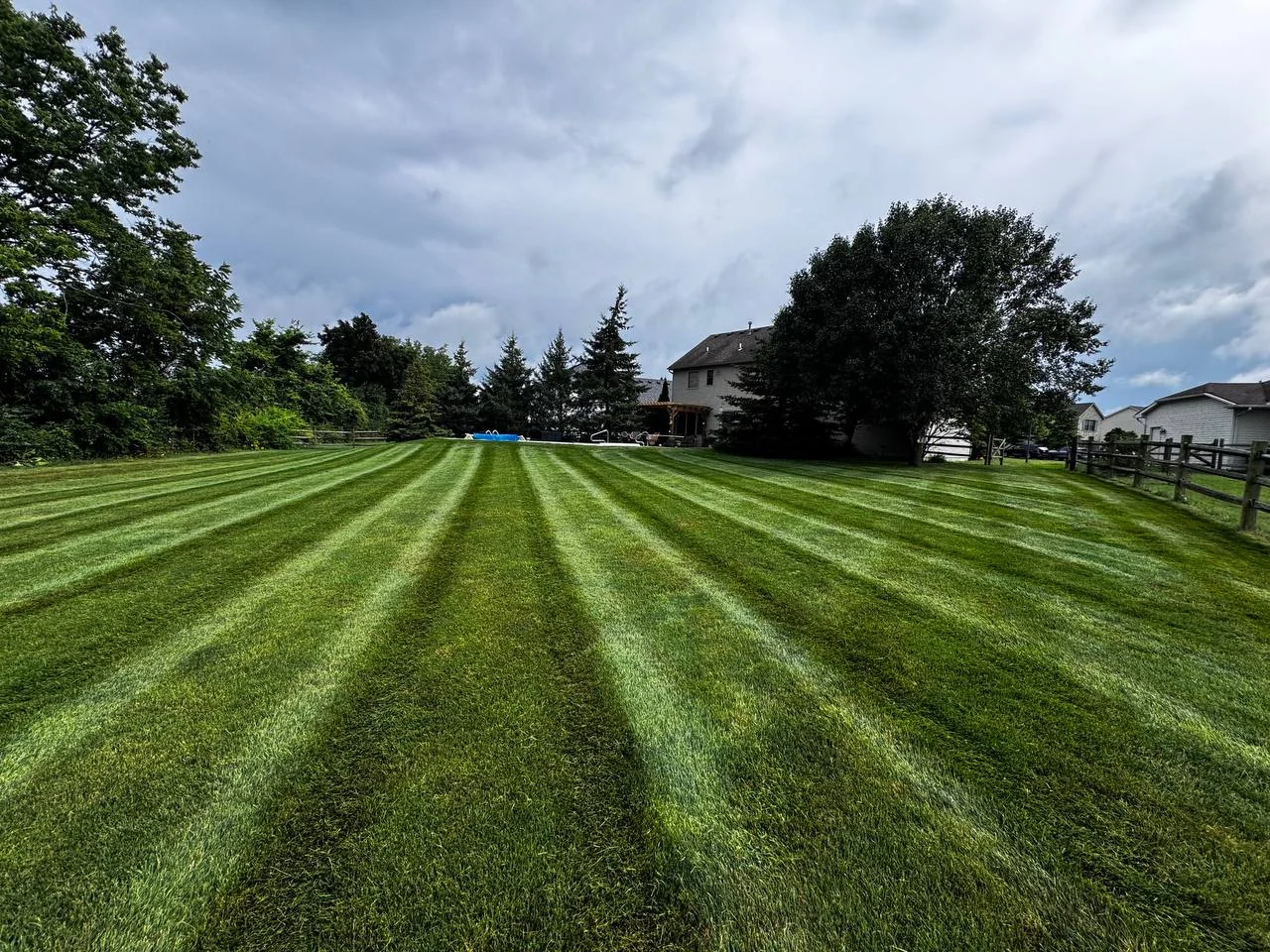 Lawn Maintenance project photo