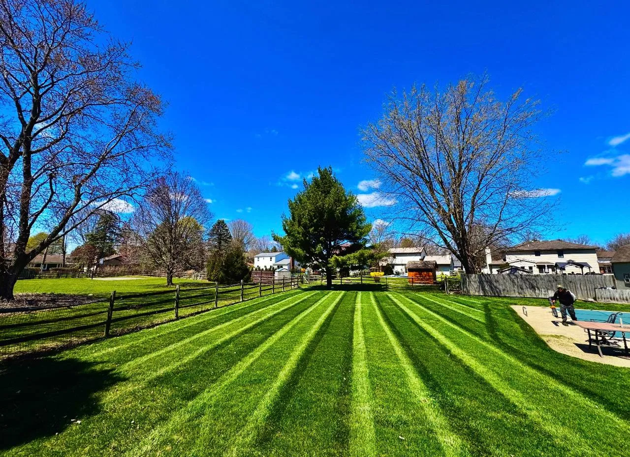 Terramorph Backyard lawn striping by the pool