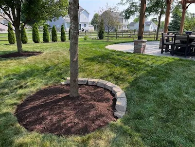Terramorph Tree ring with stone border