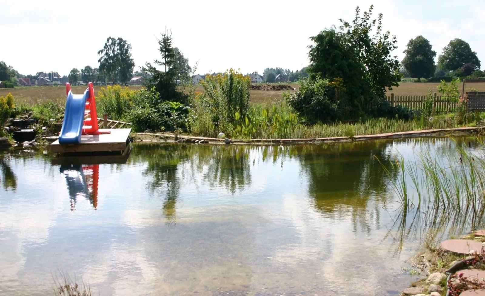 Natural swimming pond with a planted regeneration zone and wooden deck, no chlorine