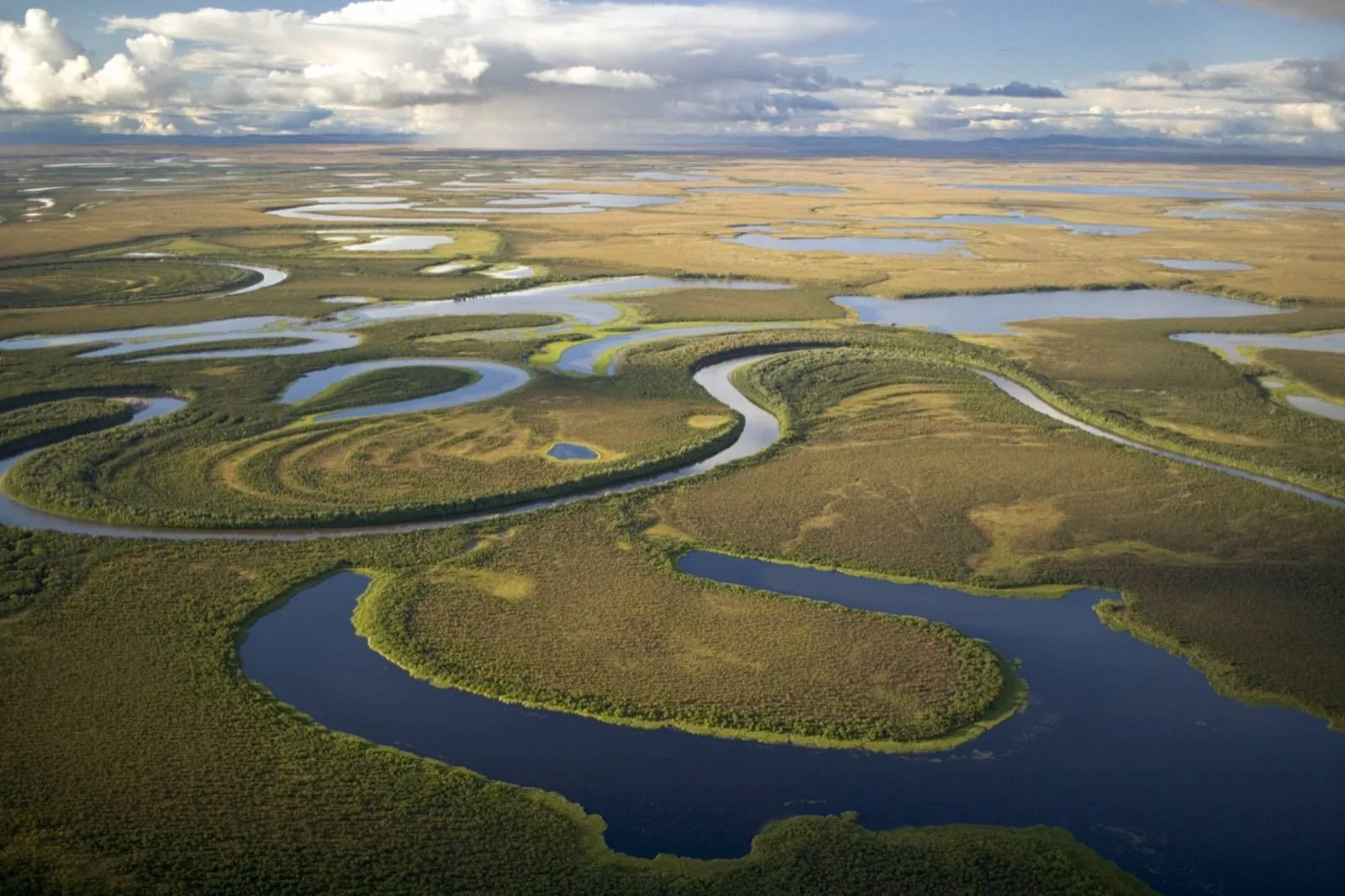 Aerial view of a river meandering through green and gold wetlands